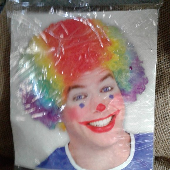 Classic Clown Wig 2006 Adult Wig and Bow Tie NEW - Picture 2 of 4